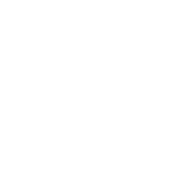 BR Consulting LLC